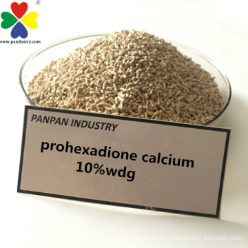Agroquímicos PGR Growth Hormones Prohexadione Calcium Canxi Powder Price